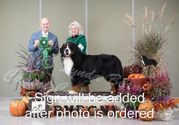 Dogshow 2024-10-26 BMDCNI Day 2--164736-2