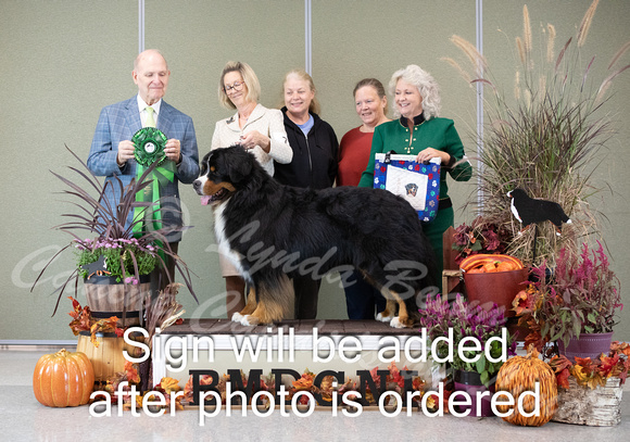 Dogshow 2024-10-26 BMDCNI Day 2--164948