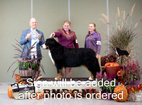 Dogshow 2024-10-26 BMDCNI Day 2--165238