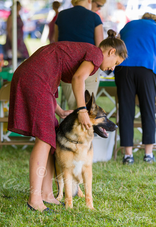 Dogshow 2019-08-11 Greater Racine KC (Sun) -- 090208