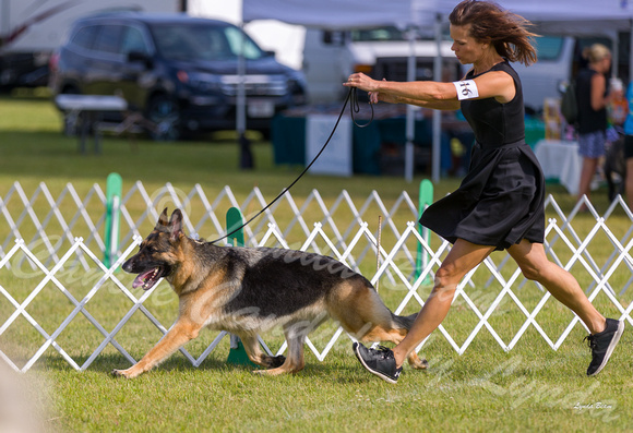 Dogshow 2019-08-11 Greater Racine KC (Sun) -- 090654