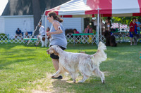 Dogshow 2018-07-30 Burlington WI (Mon)--162346-2