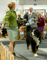 20191027 Best of Breed Check-In