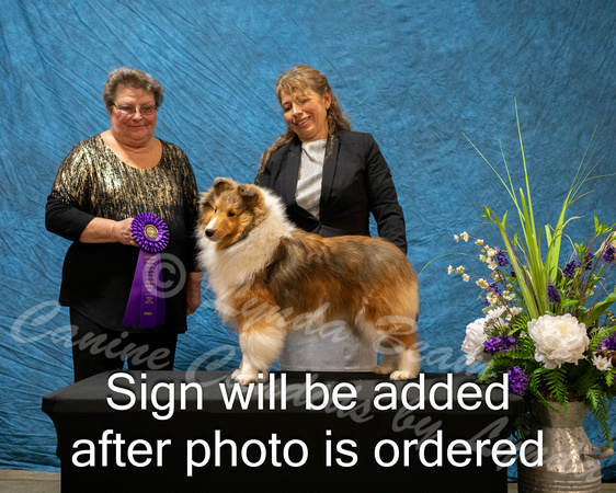 Dogshow 2024-03-02 CSSC Win Photos Sat--164238-4