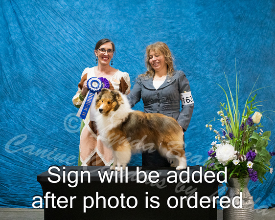 Dogshow 2024-03-03 CSSC Win Photos Sun--114306