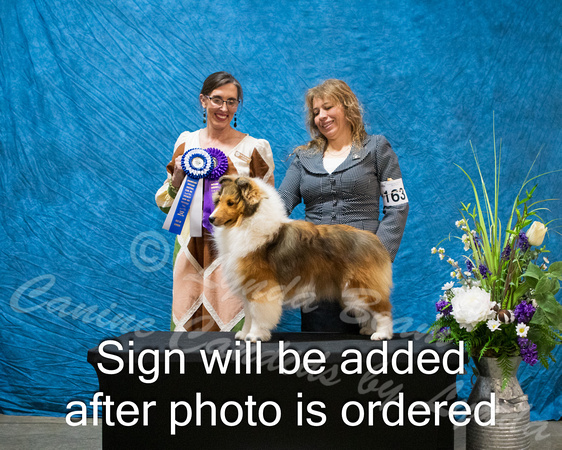 Dogshow 2024-03-03 CSSC Win Photos Sun--114326