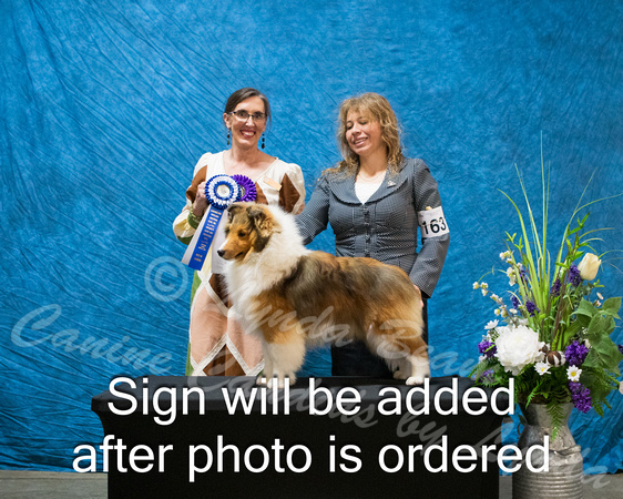 Dogshow 2024-03-03 CSSC Win Photos Sun--114308-2