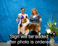 Dogshow 2024-03-03 CSSC Win Photos Sun--114328