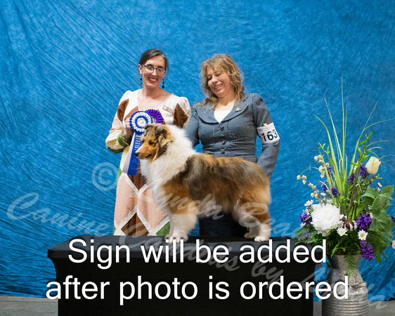 Dogshow 2024-03-03 CSSC Win Photos Sun--114408