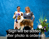 Dogshow 2024-03-03 CSSC Win Photos Sun--114422
