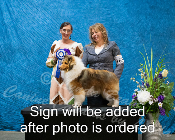 Dogshow 2024-03-03 CSSC Win Photos Sun--114422