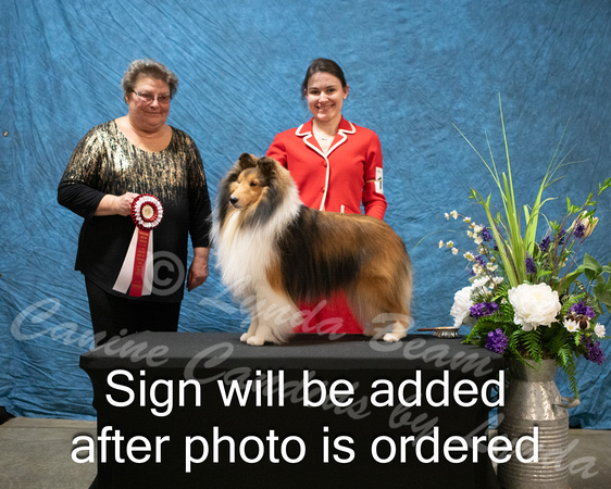 Dogshow 2024-03-02 CSSC Win Photos Sat--163816