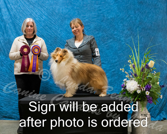Dogshow 2024-03-03 CSSC Win Photos Sun--144018