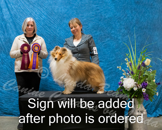 Dogshow 2024-03-03 CSSC Win Photos Sun--144020