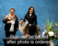 Dogshow 2024-03-02 CSSC Win Photos Sat--164026