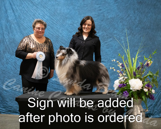 Dogshow 2024-03-02 CSSC Win Photos Sat--164028-2