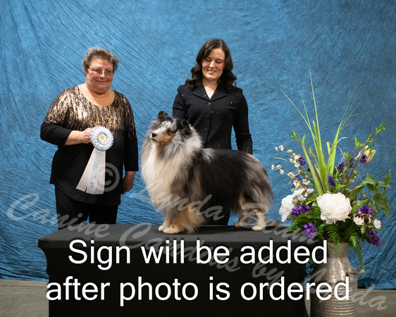 Dogshow 2024-03-02 CSSC Win Photos Sat--164044