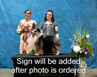Dogshow 2024-03-03 CSSC Win Photos Sun--113516