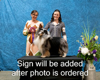 Dogshow 2024-03-03 CSSC Win Photos Sun--113527
