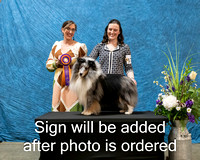 Dogshow 2024-03-03 CSSC Win Photos Sun--113538-2