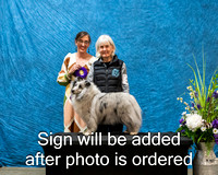 Dogshow 2024-03-03 CSSC Win Photos Sun--114026