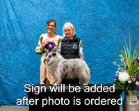Dogshow 2024-03-03 CSSC Win Photos Sun--114035