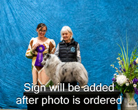 Dogshow 2024-03-03 CSSC Win Photos Sun--114104