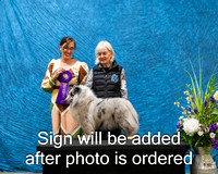 Dogshow 2024-03-03 CSSC Win Photos Sun--114106-2