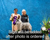 Dogshow 2024-03-03 CSSC Win Photos Sun--114107-2
