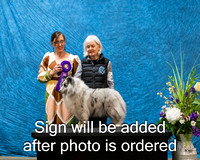 Dogshow 2024-03-03 CSSC Win Photos Sun--114154