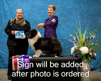 Dogshow 2024-03-02 CSSC Win Photos Sat--132353