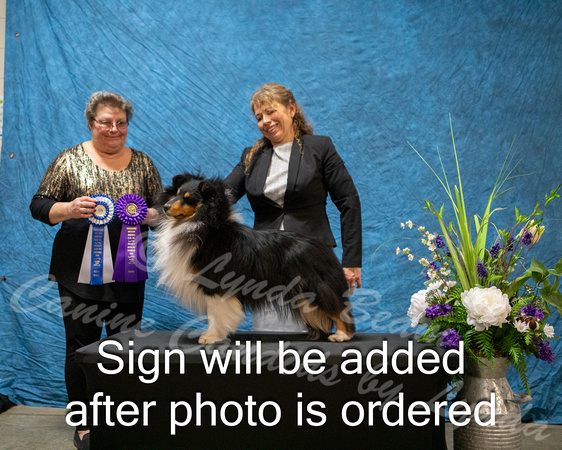 Dogshow 2024-03-02 CSSC Win Photos Sat--164422-2