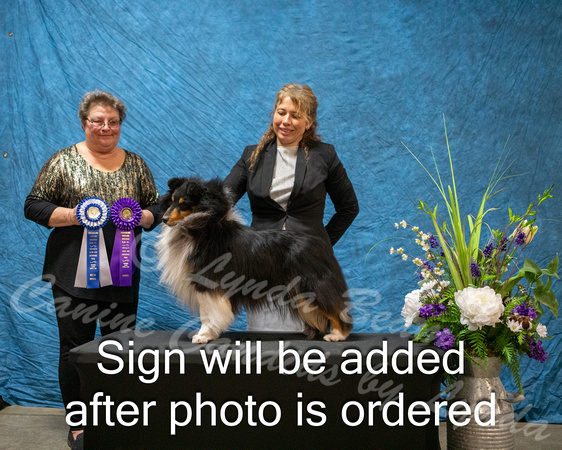 Dogshow 2024-03-02 CSSC Win Photos Sat--164501-2