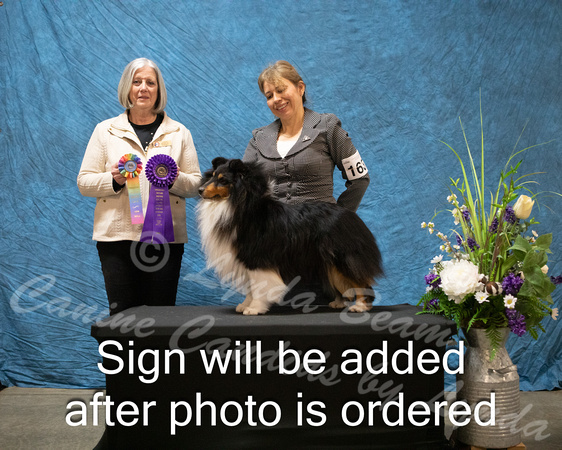 Dogshow 2024-03-03 CSSC Win Photos Sun--144248-4