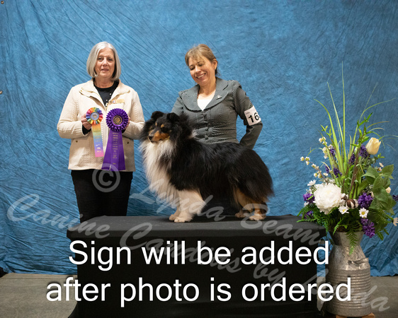 Dogshow 2024-03-03 CSSC Win Photos Sun--144254