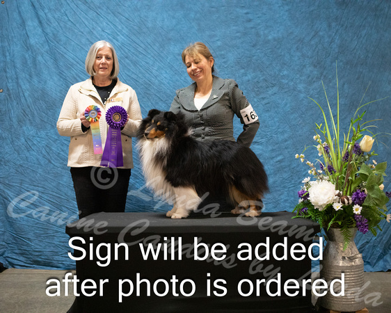 Dogshow 2024-03-03 CSSC Win Photos Sun--144258-2