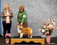 Dogshow 2025-04-05 2025 Interlocking SSC of Monee Win Photos --085846