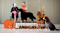 Dogshow 2024-10-25 BMDCNI Day 1--161759