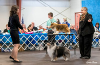 20240302 S1 Best of Breed Comp
