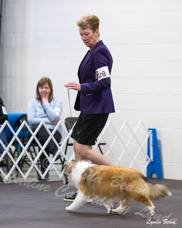 Dogshow 2024-03-02 20240302-03 CSSC Specialties 1-4--115349-3