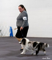 Dogshow 2024-03-02 20240302-03 CSSC Specialties 1-4--115853-3