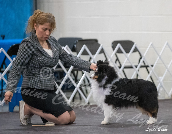 Dogshow 2024-03-03 20240302-03 CSSC Specialties 1-4--130805