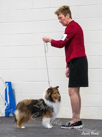 Dogshow 2024-03-03 20240302-03 CSSC Specialties 1-4--132906