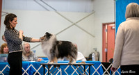 Dogshow 2024-03-03 20240302-03 CSSC Specialties 1-4--141346