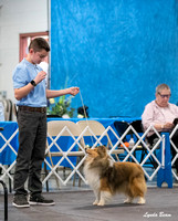 20240303 S4 Best of Breed Comp