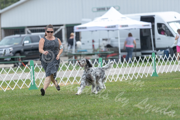 Dogshow 2018-07-31 Burlington WI KC Day 2--154716