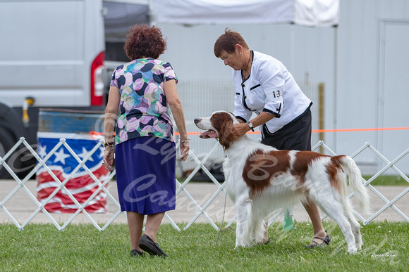 Dogshow 2018-07-31 Burlington WI KC Day 2--154147