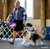 Dogshow 2025-04-05 2025 Interlocking SSC of Monee Candid Photos --110107-3