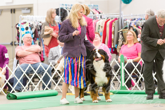 Dogshow 2016-04-23 Fond Du Lac--135553