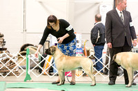 Dogshow 2016-04-23 Fond Du Lac--135612